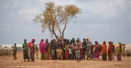 Casi 40 por ciento de los somalíes podrían morir de hambre