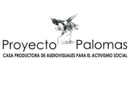 Proyecto Palomas, vitrina para activismo y audiovisual en Cuba