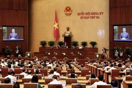 Parlamento de Vietnam cumple decimoquinta jornada de trabajo