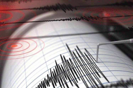 Registran terremoto de 5,1 en ciudad japonesa, sin riesgo de tsunami