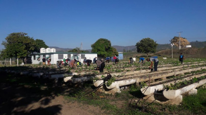 Contribuye CTC a producción de alimentos en Santiago de Cuba
