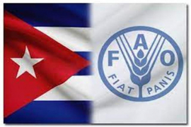 Representante de FAO en Cuba reconoce valor de programa alimentario