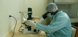 Auge de biotecnología en oriente de Cuba, sueño de joven científico