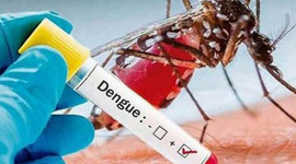 Refuerzan medidas sanitarias ante proliferación del dengue en Santiago de Cuba