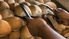 Inestabilidad en la producción de harina de trigo limita la venta del pan normado