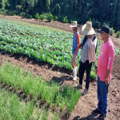Prioriza agricultura santiaguera uso de la agroecología