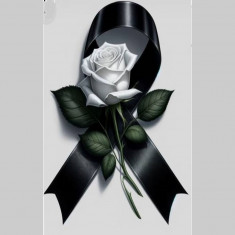 Envía Presidente cubano mensaje de condolencias