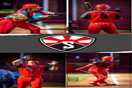 Costosas derrotas de Las Avispas