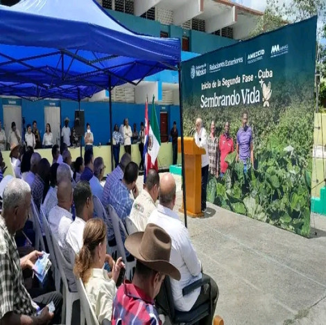 Sembrando Vida, un proyecto que en Santiago de Cuba tiene la ayuda mexicana