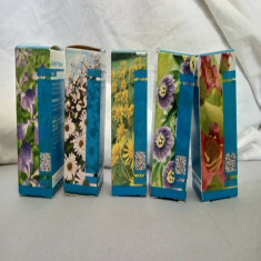 La homeopatía, una terapia integrada al sistema de salud