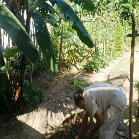 Cultivar los patios: gestión y respuesta desde lo pequeño