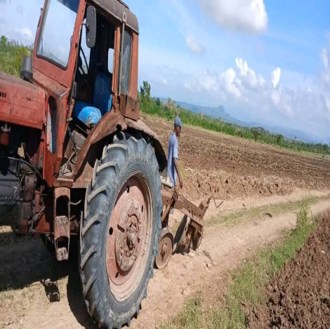 San Luis se levanta: ¡Acción y sudor en la recuperación tras el huracán Melissa!