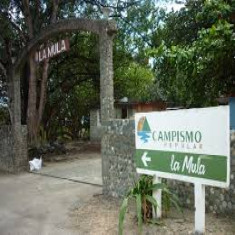 Los coppelia se mantienen en la preferencia