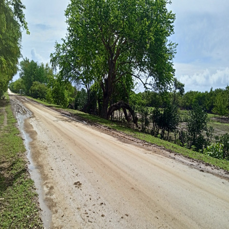 Restablecen comunicación terrestre con el municipio de Tercer Frente