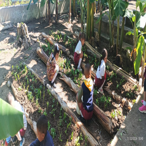 Formación en valores, desde el trabajo con la Tierra