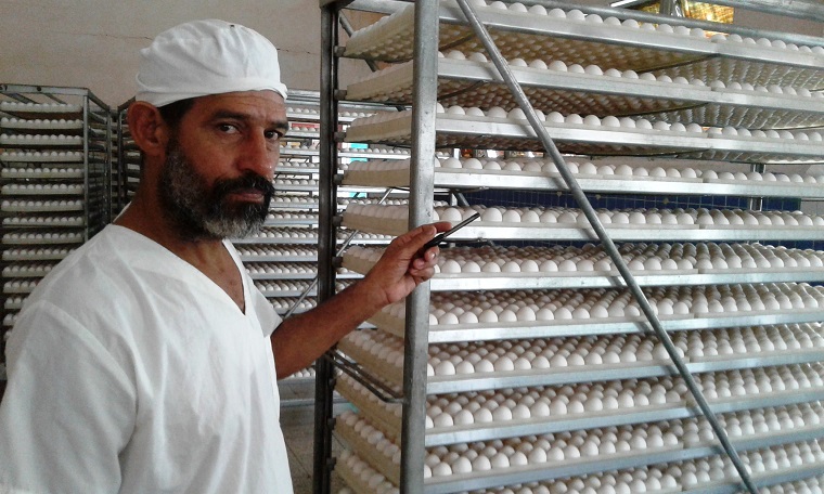 ADOLFO SANTA INFANTE DIRECTOR DE LA PLANTA MUESTRA HUEVOS LISTO PARA INICIAR EL PROCESO DE INCUBACIÓNjpg