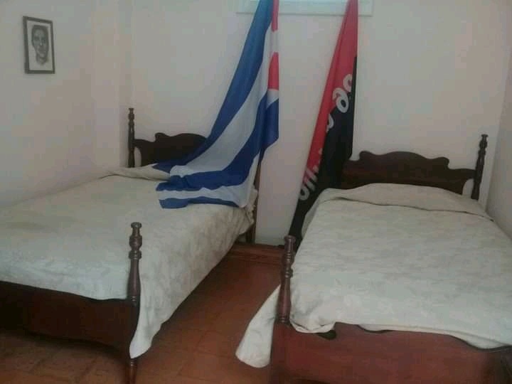 Fusté1
