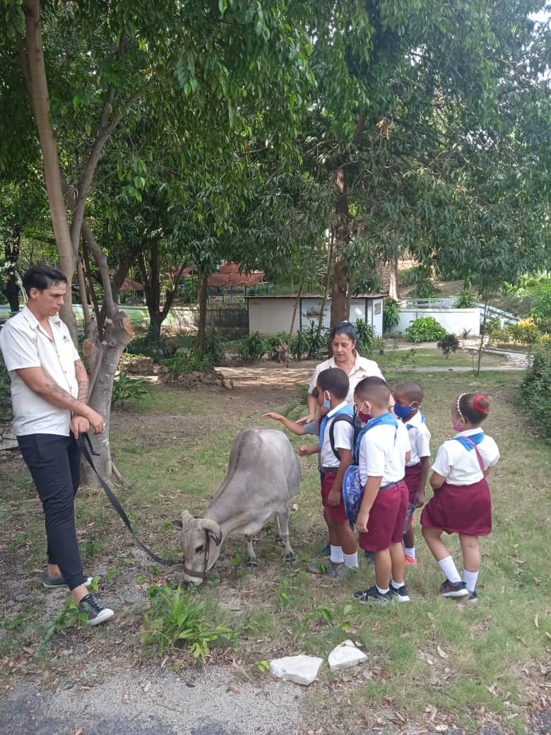 zoo2