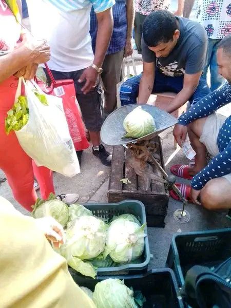 1229 ferias1