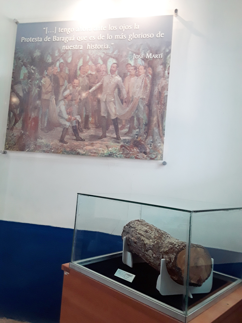 CASA MACEO 4