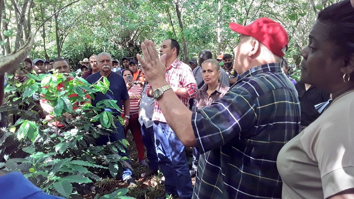 Jorge Luis Tapia Fonseca 