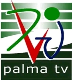 palma1