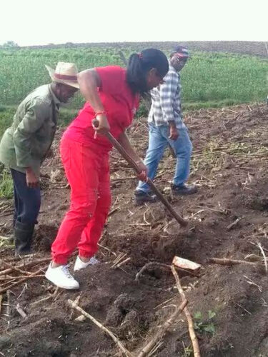 santiago sede 26 julio 3