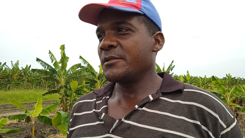 Edelnier Rivero Mato