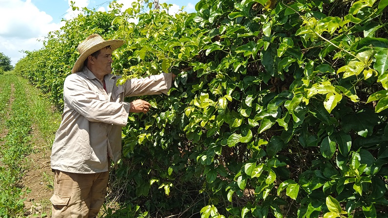 Finca de Julio Antonio Reyes