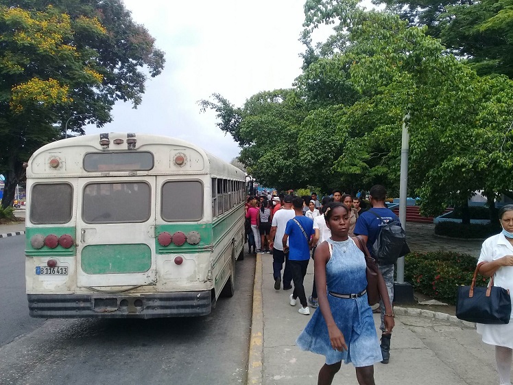 Un ómnibus insertado en el transporte solidario