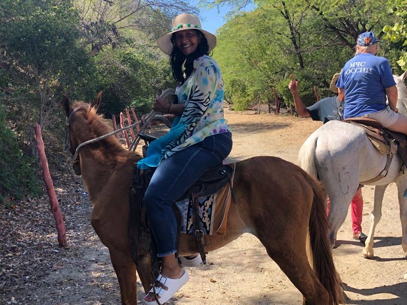 caballos purasangre