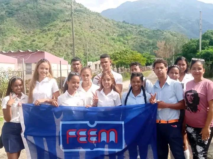 feem 1