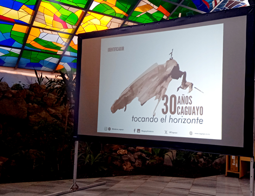IMG 20250117 103142