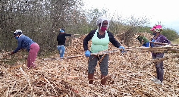 La presencia femenina se hizo notar durante la jornada productiva