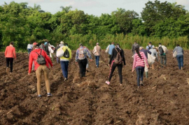 Jóvenes sanluiseros vinculados a la producción de alimentos en sector cooperativo