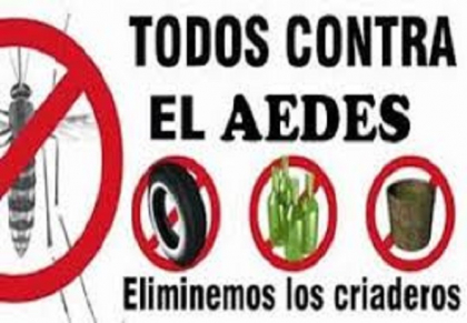 Importante el control del mosquito Aedes Aegypti en San Luis