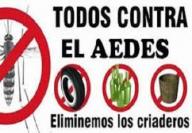 Importante el control del mosquito Aedes Aegypti en San Luis