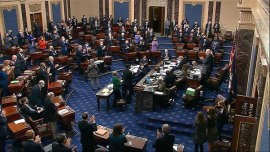 Senadores abordarán estrategia contra violencia armada en EEUU