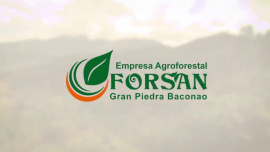 Consolida empresa Agroforestal Gran Piedra-Baconao su puesto nacional