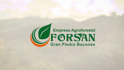 Consolida empresa Agroforestal Gran Piedra-Baconao su puesto nacional