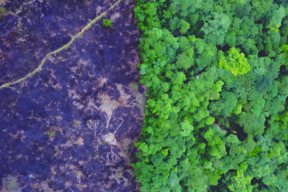 ¿Catástrofe irreversible o cambio de rumbo?