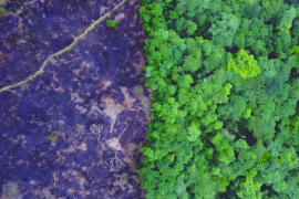 ¿Catástrofe irreversible o cambio de rumbo?