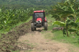 Explota empresa Agroforestal Sierra Cristal de Segundo Frente alternativas de producción