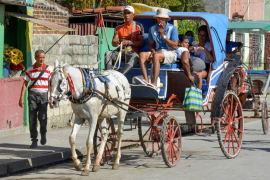 Altos Precios y Maltrato: realidades del transporte de tracción animal