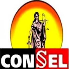 Consel garantiza marco legal de todos los actores