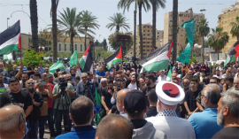 Reafirman en Líbano solidaridad con causa palestina
