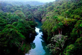 Protección del medio ambiente, prioridad en marco legislativo de Cuba