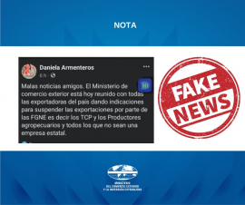 Desmiente Mincex supuesta suspensión de las exportaciones por parte de las formas de gestión no estatal