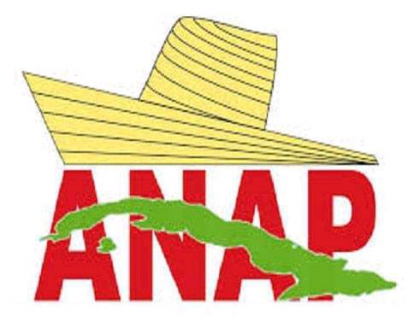 Desarrollan encuentro municipal cooperativas agropecuarias