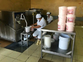 Sin pausas marcha la recuperación de la industria láctea en Santiago de Cuba